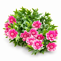 Buchet Artificial Craite H 35 cm - model 0377-3