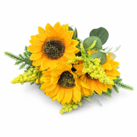Buchet Floarea Soarelui H 20 cm