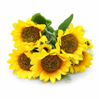 Buchet Floarea Soarelui H 28 cm