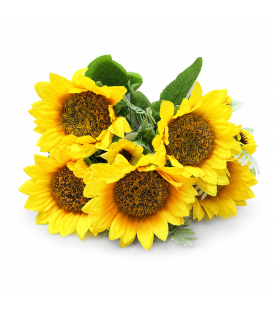 Buchet Floarea Soarelui H 28 cm