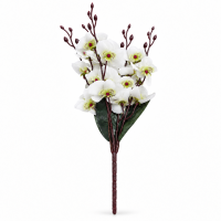 Buchet Orhidee H 42 cm