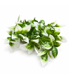 Buchet Artificial Ruscus H 35 cm - model 0377-6