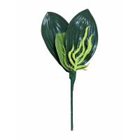 Frunze Orhidee H 20 cm - model 0377-9