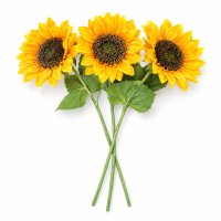 Fir Floarea Soarelui H 41 cm