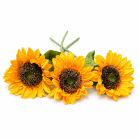 Fir Floarea Soarelui H 41 cm