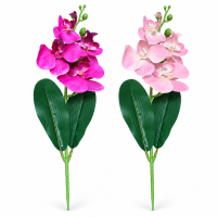 Fir Orhidee H 39 cm
