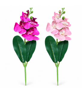 Fir Orhidee H 39 cm