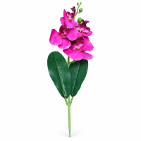 Fir Orhidee H 39 cm