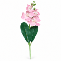 Fir Orhidee H 39 cm
