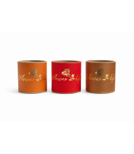 Cutie rotunda RRX 13/H13