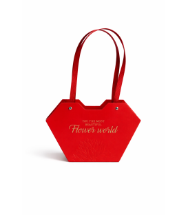 Poseta color 21x13 S/10 - diverse culori