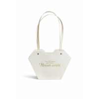 Poseta color 21x13 S/10 - diverse culori