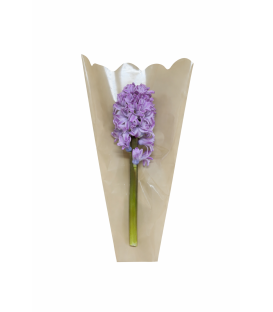 Pungi Zambile 2 kraft 